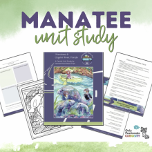 <em>Edit Post</em> 12 Days Of Christmas Giveaway 2025