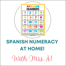 Homeschool Articles and Advice