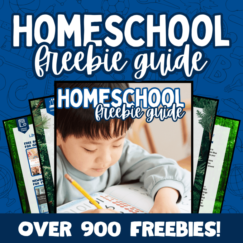 Winter Homeschooling on a Budget Winter Homeschooling on a Budget