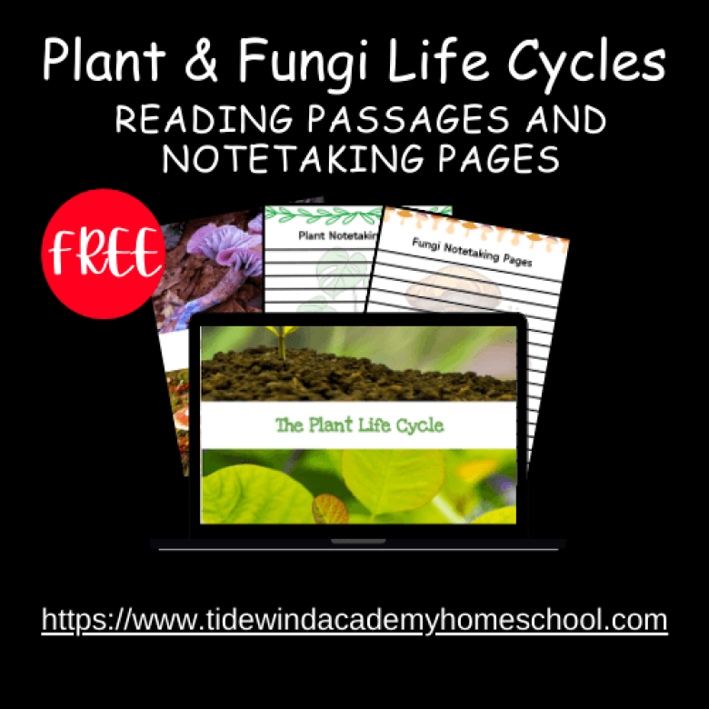 <em>Edit Post</em> 12 Days Of Christmas Giveaway 2025