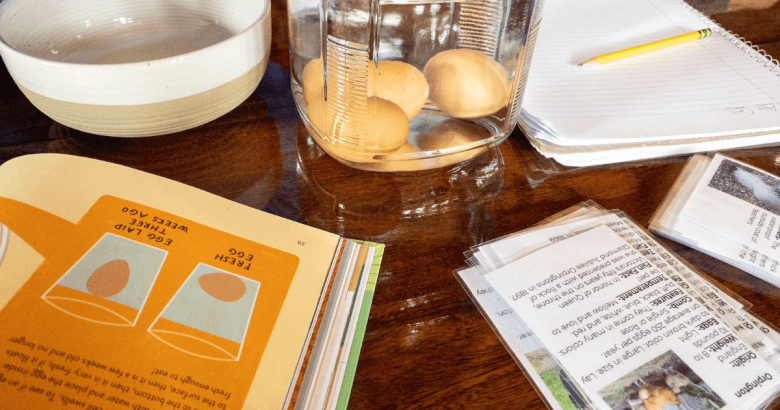 <em>Edit Post</em> 12 Days Of Christmas Giveaway 2025