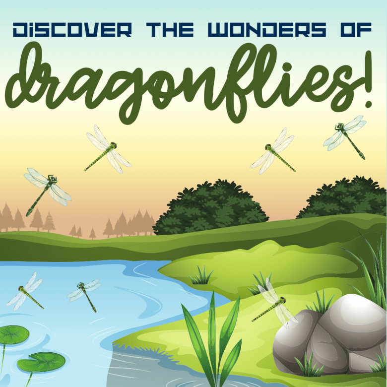 Color the World: Fun Country Flags Coloring Pages