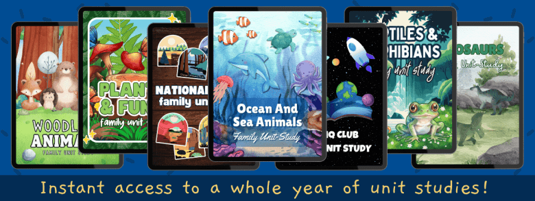 Midnight Critters: lets Teach Kids About Nocturnal Animals Midnight Critters: lets Teach Kids About Nocturnal Animals