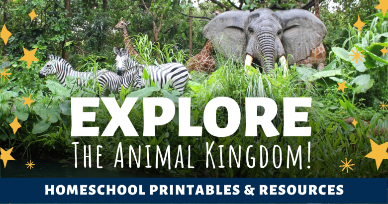 Explore The Animal Kingdom