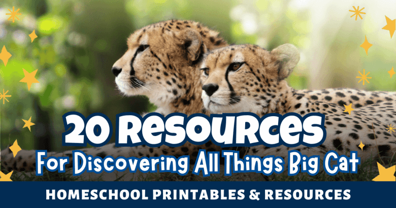 Homeschool Goodies