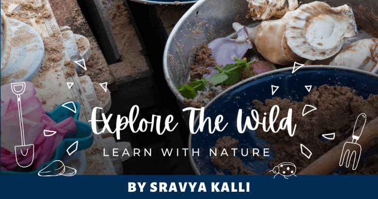 Explore The Wild & Learn With Nature