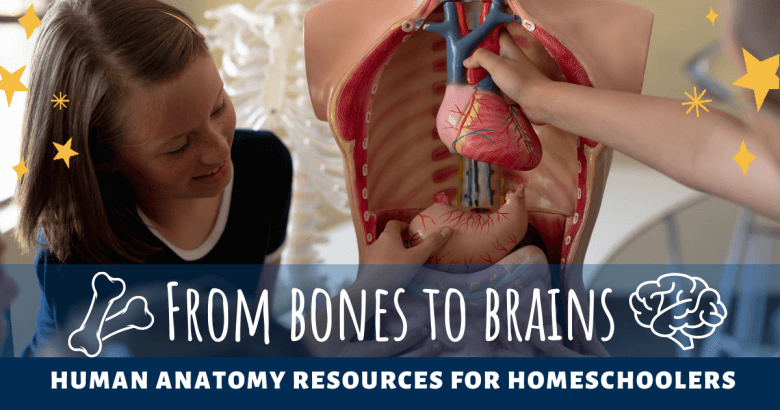From bones to brains: Human Anatomy Resources for Homeschoolers