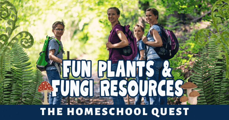 <em>Edit Post</em> 12 Days Of Christmas Giveaway 2025