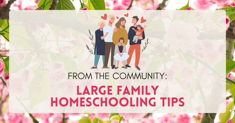 Family Homeschooling: Large Families, Only Children, & Multiple Ages!