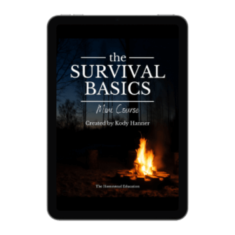 Cool North And South Poles Resources For Winter Learning