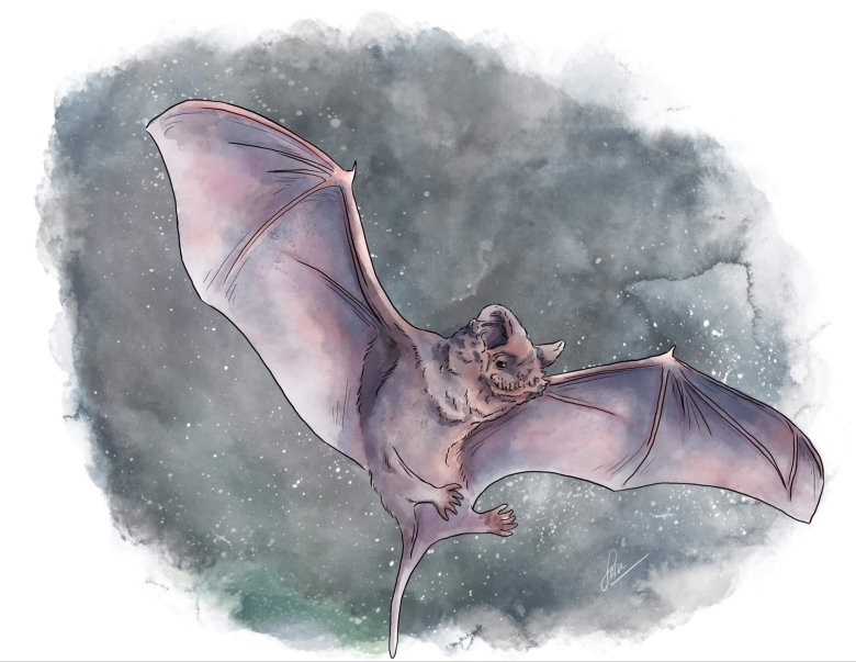 <em>Edit Post</em> 12 Days Of Christmas 2025