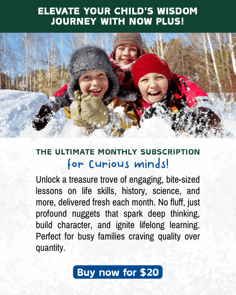 20 Christmas Crafts to Spark Creativity & Learning