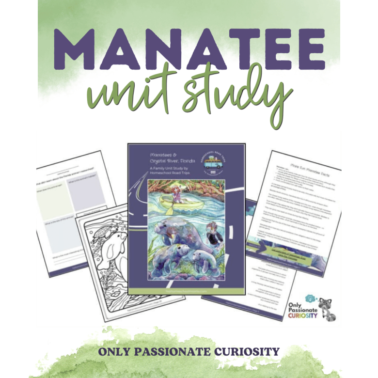 <em>Edit Post</em> 12 Days Of Christmas Giveaway 2025