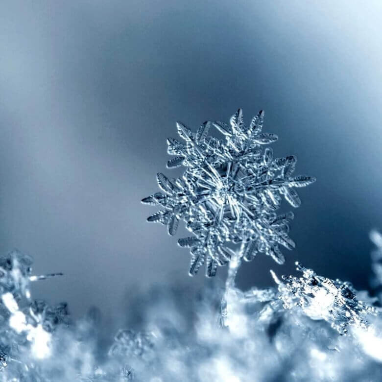 <em>Edit Post</em> 12 Days Of Christmas 2025