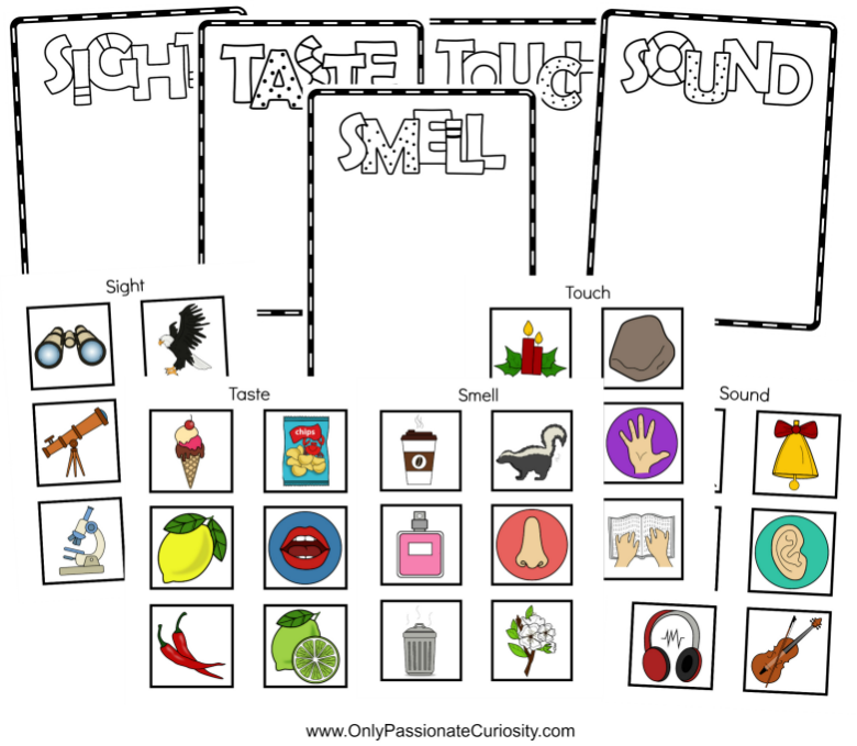 Discover the Fun of Learning Through Play With Gameschooling