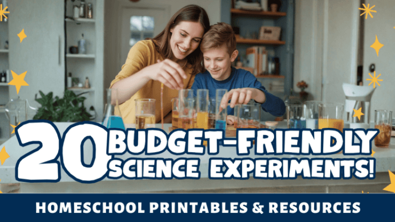 October Homeschool Update