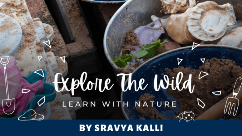 Explore The Wild & Learn With Nature