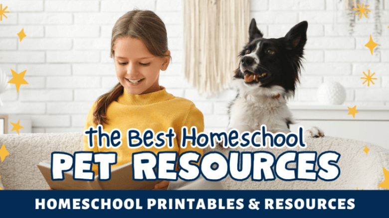 October Homeschool Update